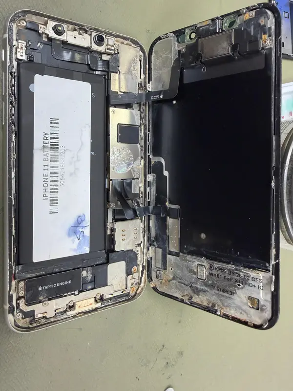 iPhone 11 Pro Max Repair